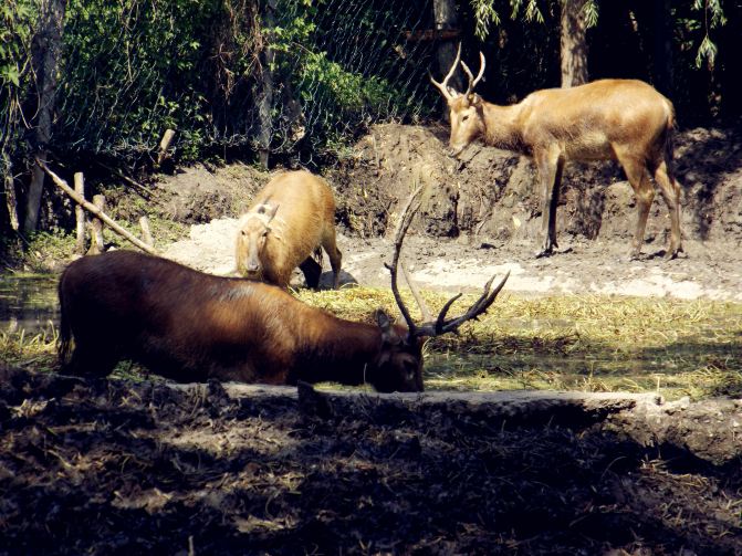 韦金勇:江苏泰州二日游 尝溱湖八鲜品黄桥烧饼