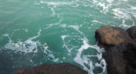 【携程攻略】涠洲岛船票预订-其他