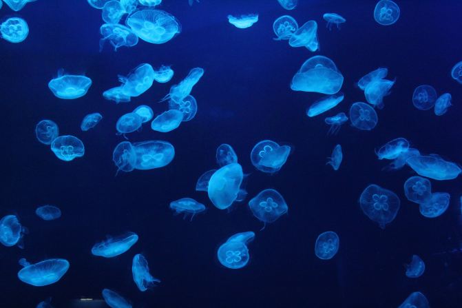 二天一夜珠海海洋王国自驾亲子游 - 珠海游记攻略