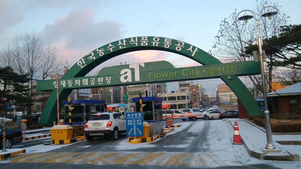 别样游首尔——首尔花卉市场flower city.