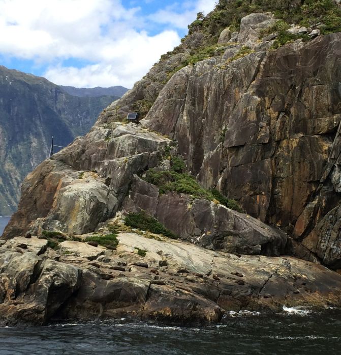 在大洋洲游走--澳洲、新西兰自由行手记 - 新西