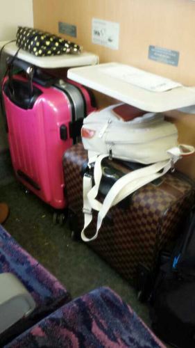 樱花盛开的季节,我们在武汉! - 武汉游记攻略【