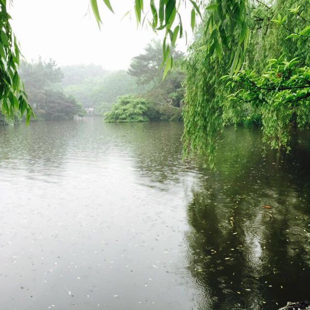 还让我们碰上了,下雨的西湖,远远看去岸边的堤(其实能见度不好)还是很