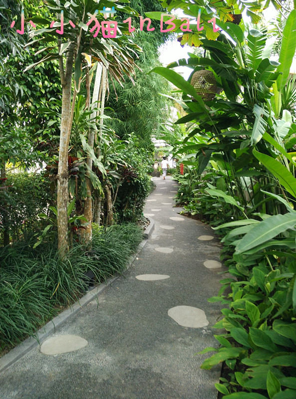 南纬8 巴厘岛+新加坡转机(含菜单中英文)(入住