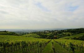 维也纳卡伦山天气预报,历史气温,旅游指数,卡伦