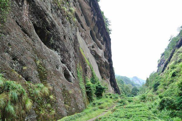 游武夷 虎啸岩 隐屏峰 玉华峰 天游峰 大红袍