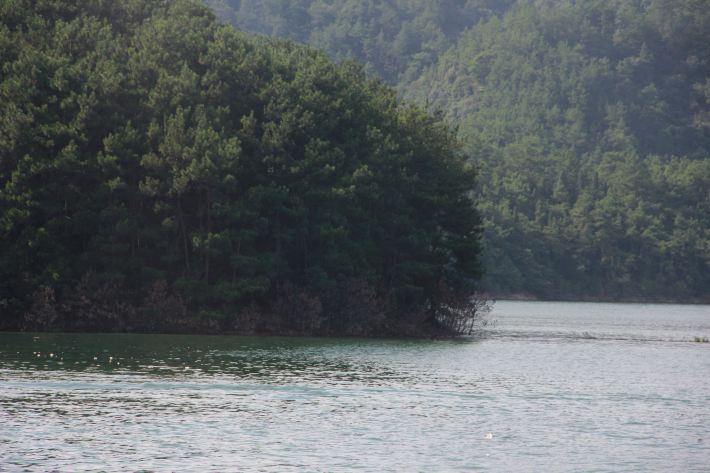 张小姐带你吃喝玩乐【攻略千岛湖,实用自驾】东京麻布十秘籍图片