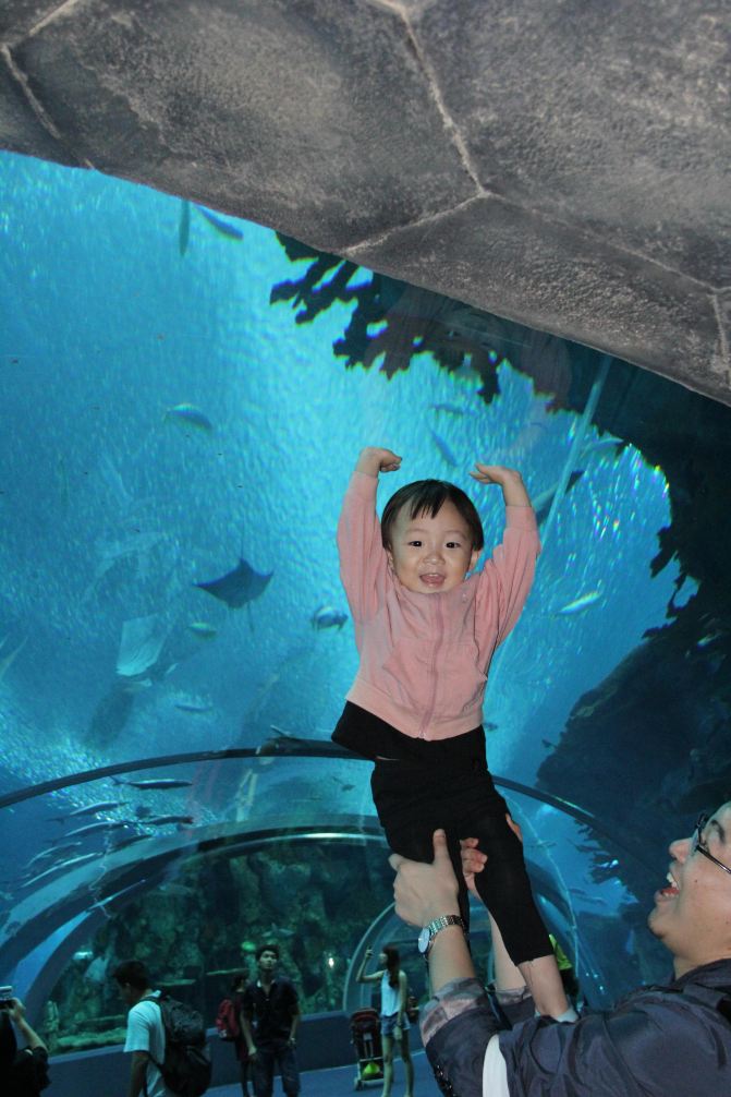 二天一夜珠海海洋王国自驾亲子游 - 珠海游记攻略