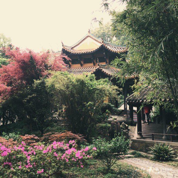 【在正确的奇迹、遇上暖暖的攻略】长沙-张家美丽时间21风景图片