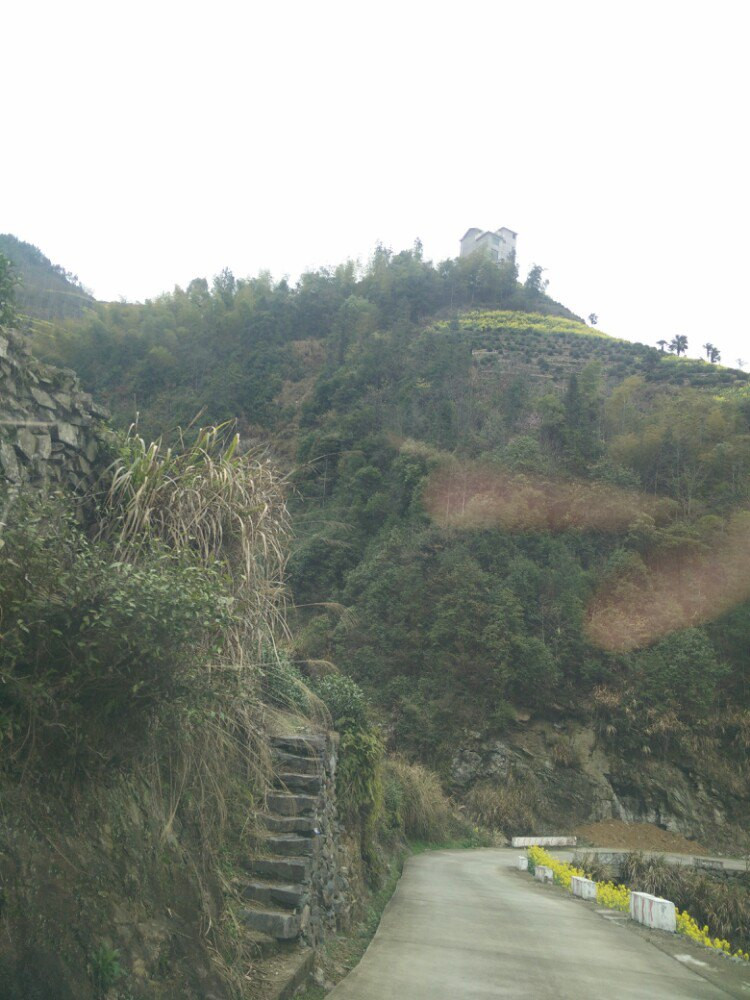 蜈蚣岭 - 黄山风景区游记攻略【携程攻略】