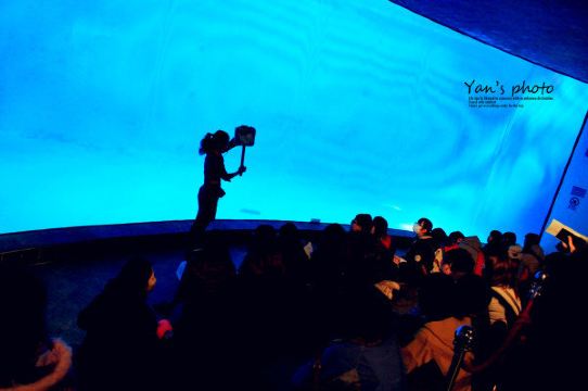 【印象福尔摩沙】台湾9日行摄,附原创手绘 台