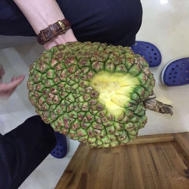 北海 涠洲岛之行