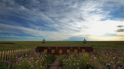 鄂尔多斯草原旅游区团购-原价420元-团购仅售258元,鄂尔多斯景点门票团购【携程团购】