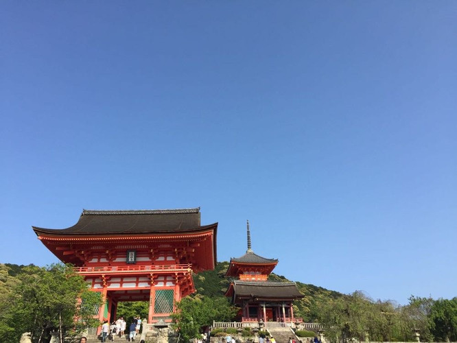 如何在跟团游日本时买到自己想要的东西 - 大阪