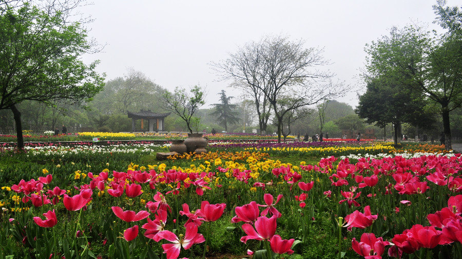 武汉植物园