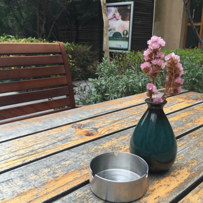 上海樱花季 - 上海游记攻略