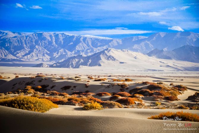 ---给你一个精彩非凡的格尔木! - 海西游记攻略