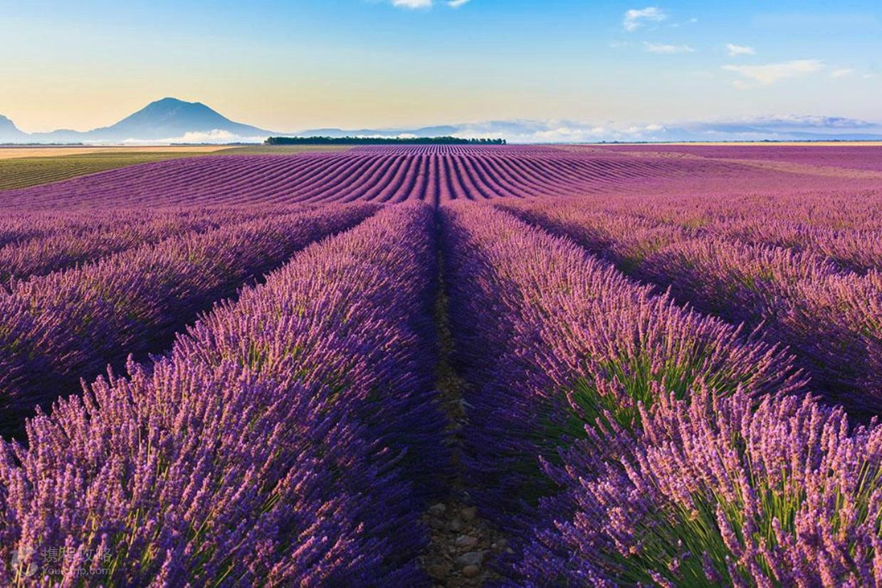 赏花游·中国九寨沟+四川4日3晚跟团游·九寨