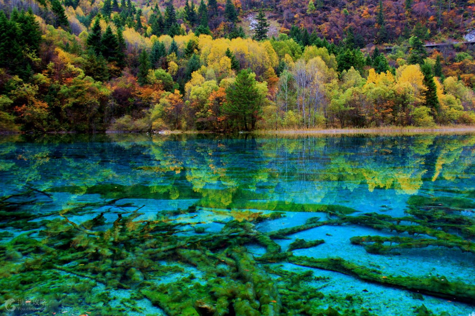 成都+九寨沟+黄龙6日5晚跟团游(3钻)·绵阳进