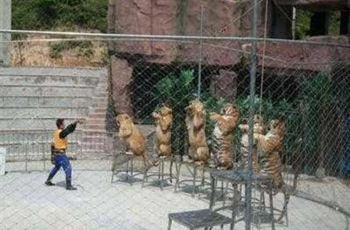 【携程攻略】烟台南山公园动物园团购,南山公