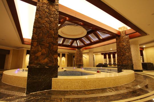 【携程攻略】鞍山戴维德温泉酒店预订价格,地