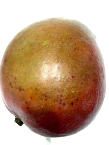 意大利跟团游梦幻Napoli,罗马暴走看教皇牛排