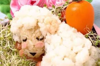 【携程攻略】小厨娘烧腊便当电话\/地址\/菜系\/点