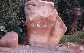 珠海红树林保护区天气预报,历史气温,旅游指数