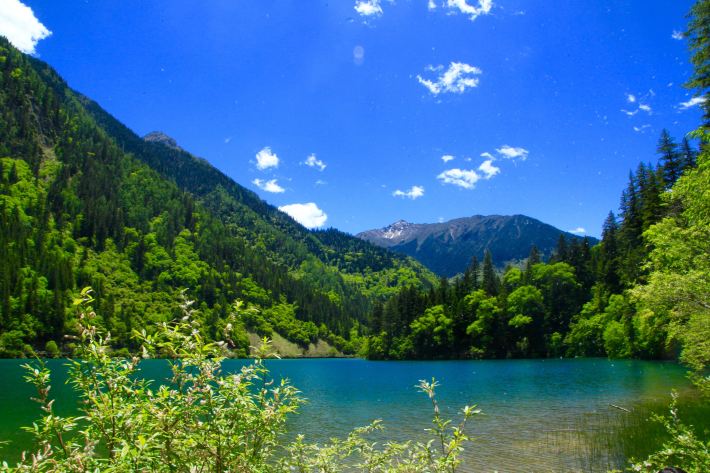 初夏九寨沟生机勃勃(广州直飞4天拖家带口)