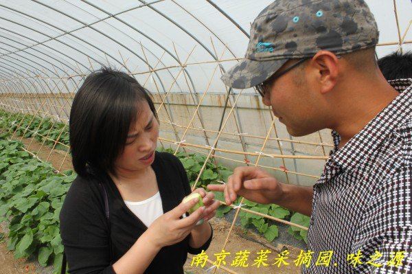 南京蔬菜采摘园 体验采摘味之源药膳养生种植园