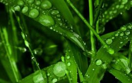 邢台邢台丰乐园天气预报,历史气温,旅游指数,邢