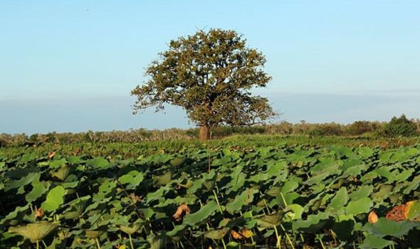 【达尔文印象】达尔文旅游怎么样_达尔文哪里