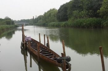 大沙河湿地公园