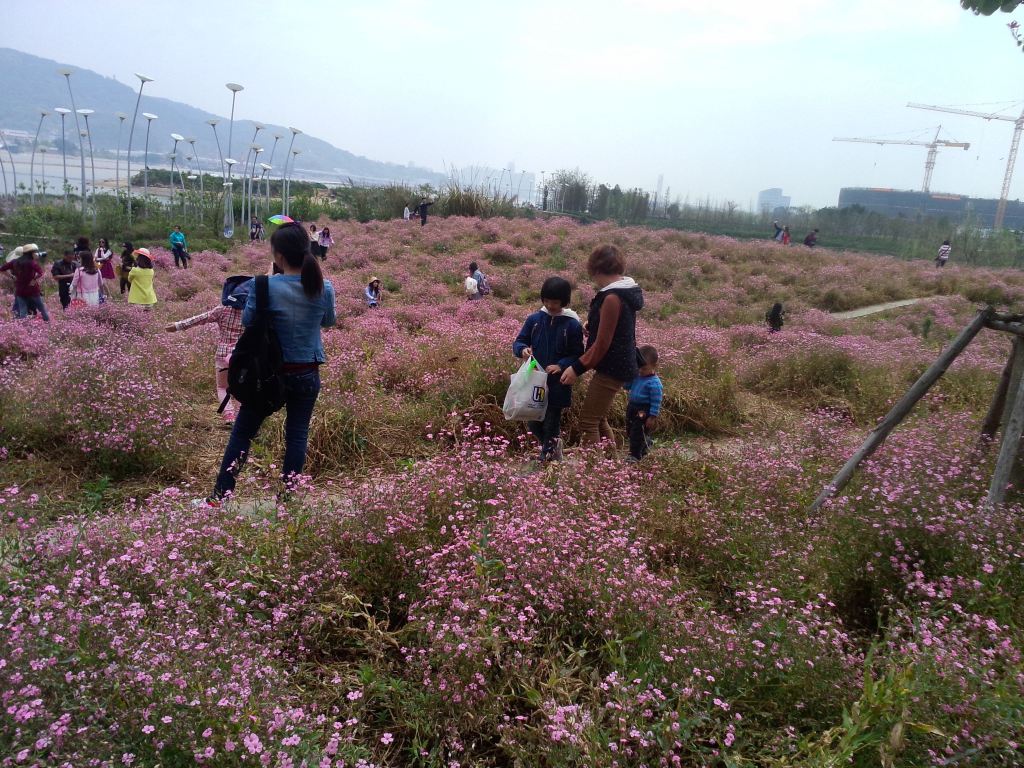 花海公园如今绝对是环南台岛景观休闲绿道上的一道靓丽的风景线.