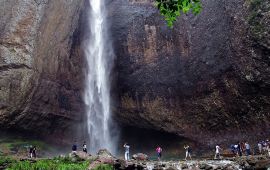 雁荡山大龙湫景区天气预报,历史气温,旅游指数