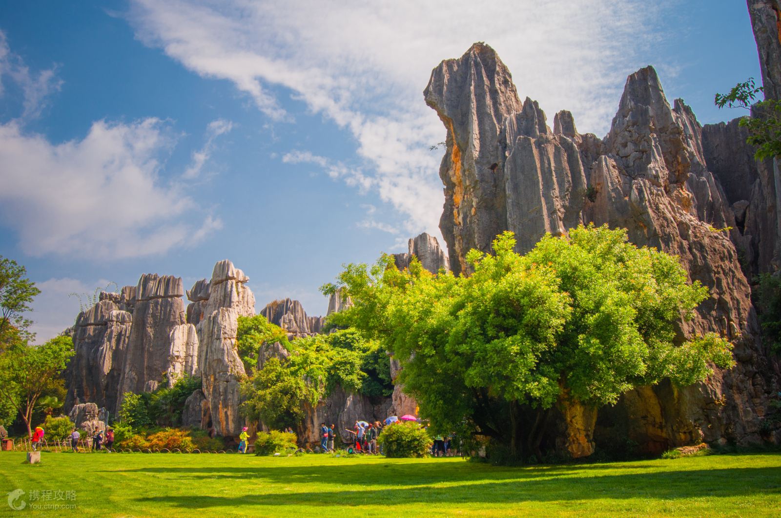 【携程攻略】石林石林风景区景点,去年春节过后去云南旅游，在昆明住了两天，租了神州租车，自驾去了石…