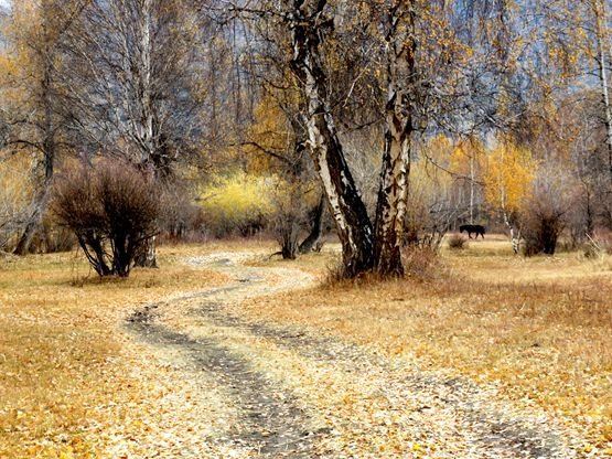 2014年金秋_北疆阿勒泰地区自助游 - 喀纳斯游