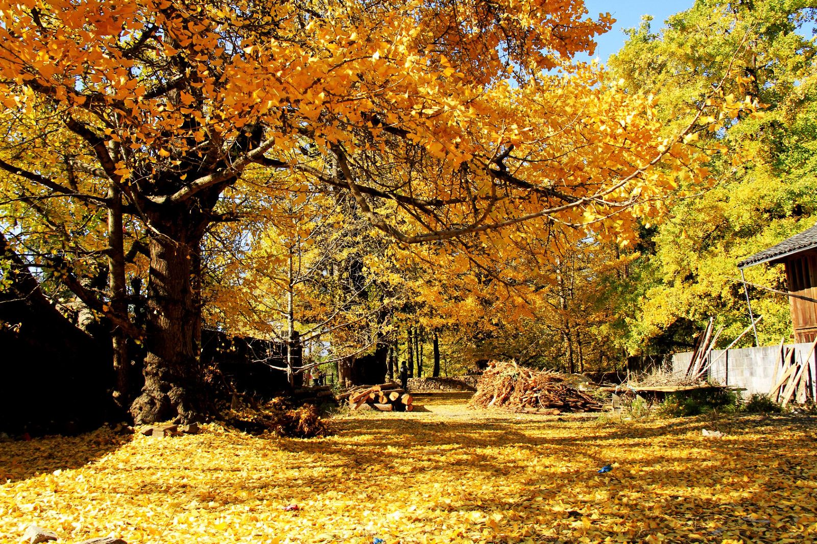 腾冲县位于云南省保山市