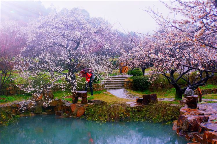 众里寻他千百度,回首却在香雪海