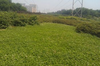 秀水公园,鹿泉秀水公园攻略\/地址\/图片\/门票