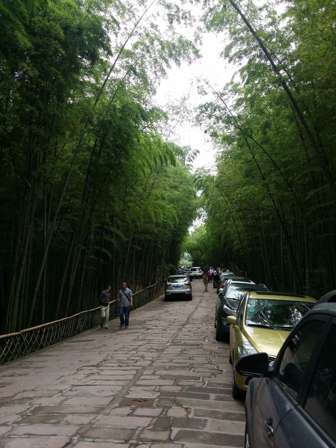 宜宾蜀南竹海一日游-宜宾攻略攻略【携程游记烧脑的游戏攻略图片