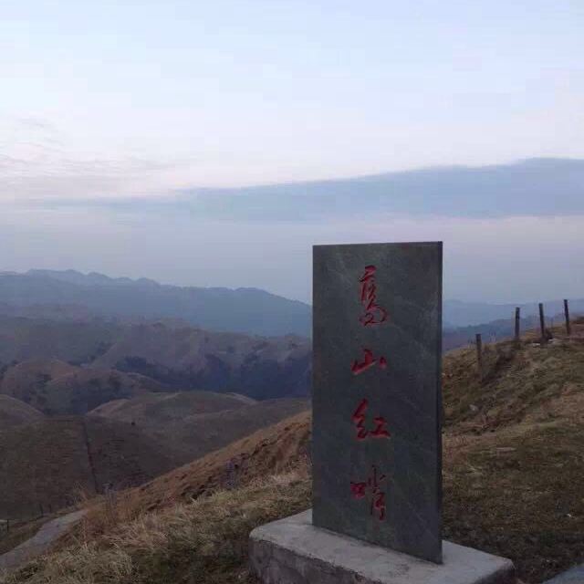 高山红哨