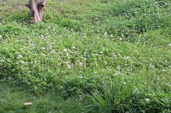 【携程攻略】深圳海岸城购物攻略,海岸城购物