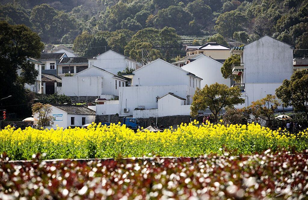 踏青舟山干施岙