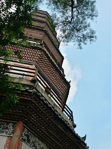顺德一日游-顺德攻略攻略【携程攻略】哈尔滨一日游v攻略游记图片