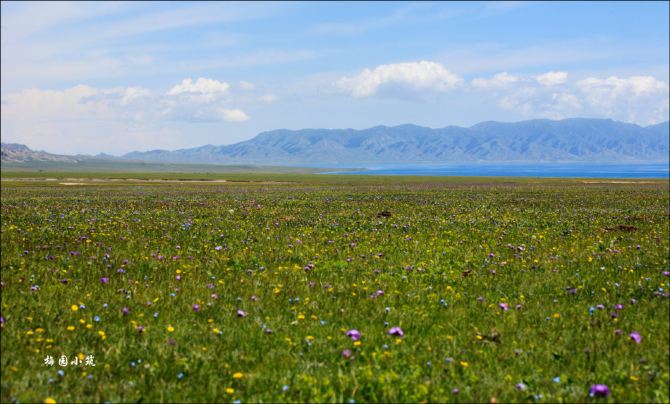 白草连天花似锦 -- 新疆伊犁赛里木湖 - 新疆游记