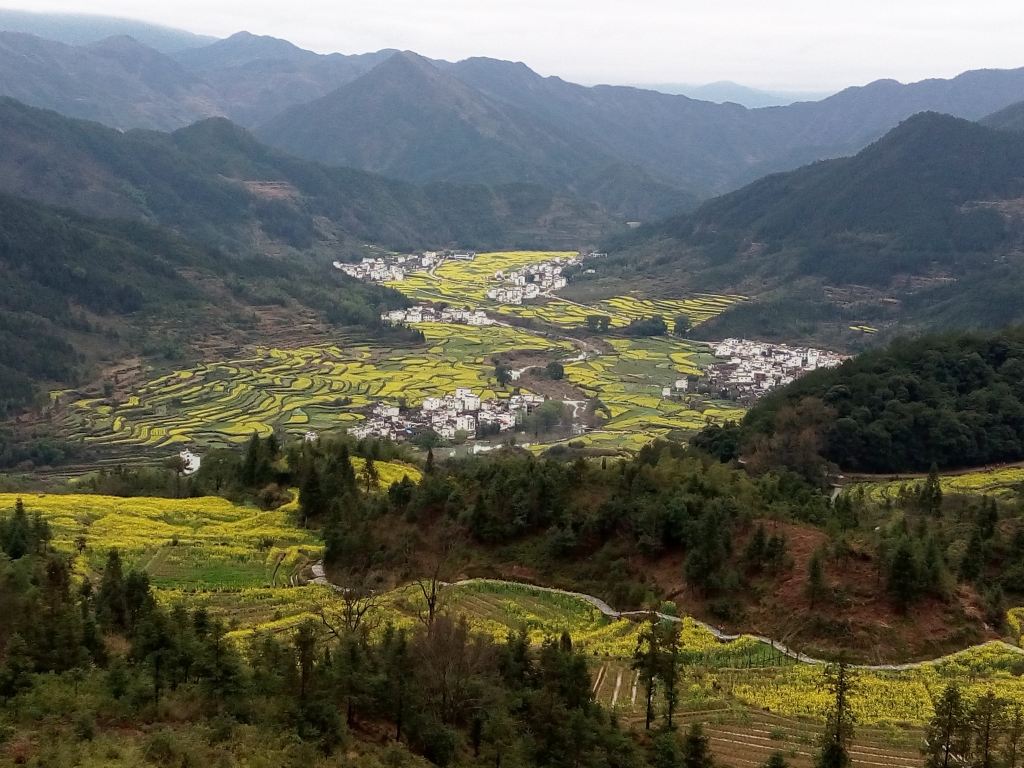 【主要景点】婺源的最佳旅游时段分别是三月底四月初和十一月底十二月