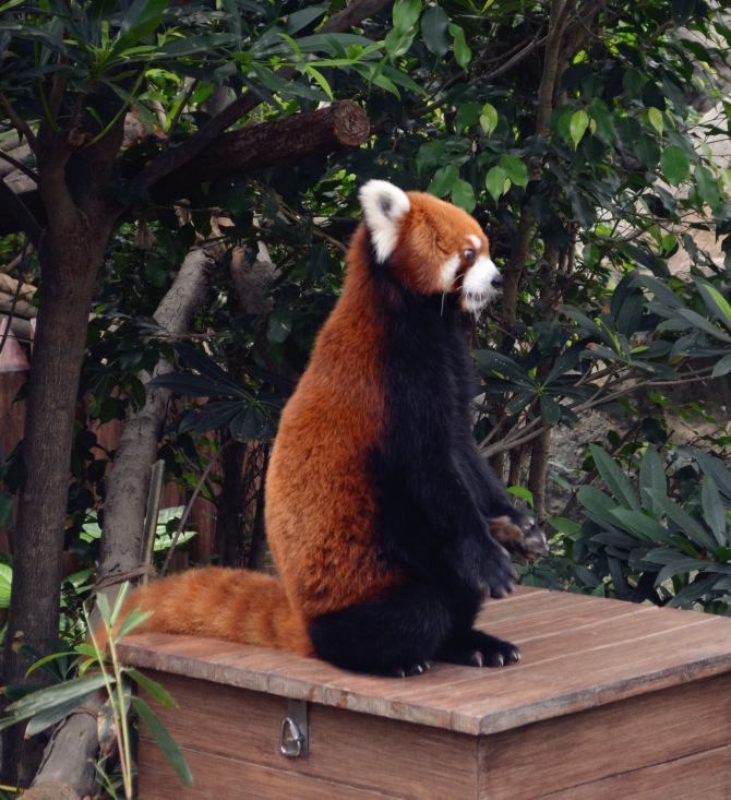 香港四日暴走之旅 - 香港游记攻略