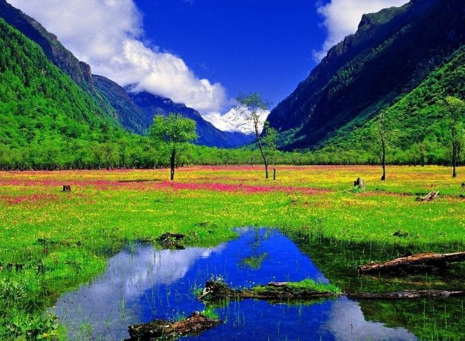 暑假毕业旅行去去四川哪里看花 夏天四川最美