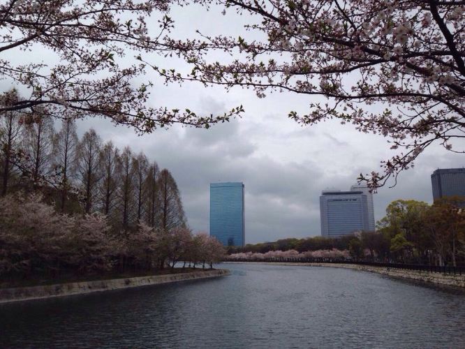 15年4月初去日本看樱花 - 大阪游记攻略
